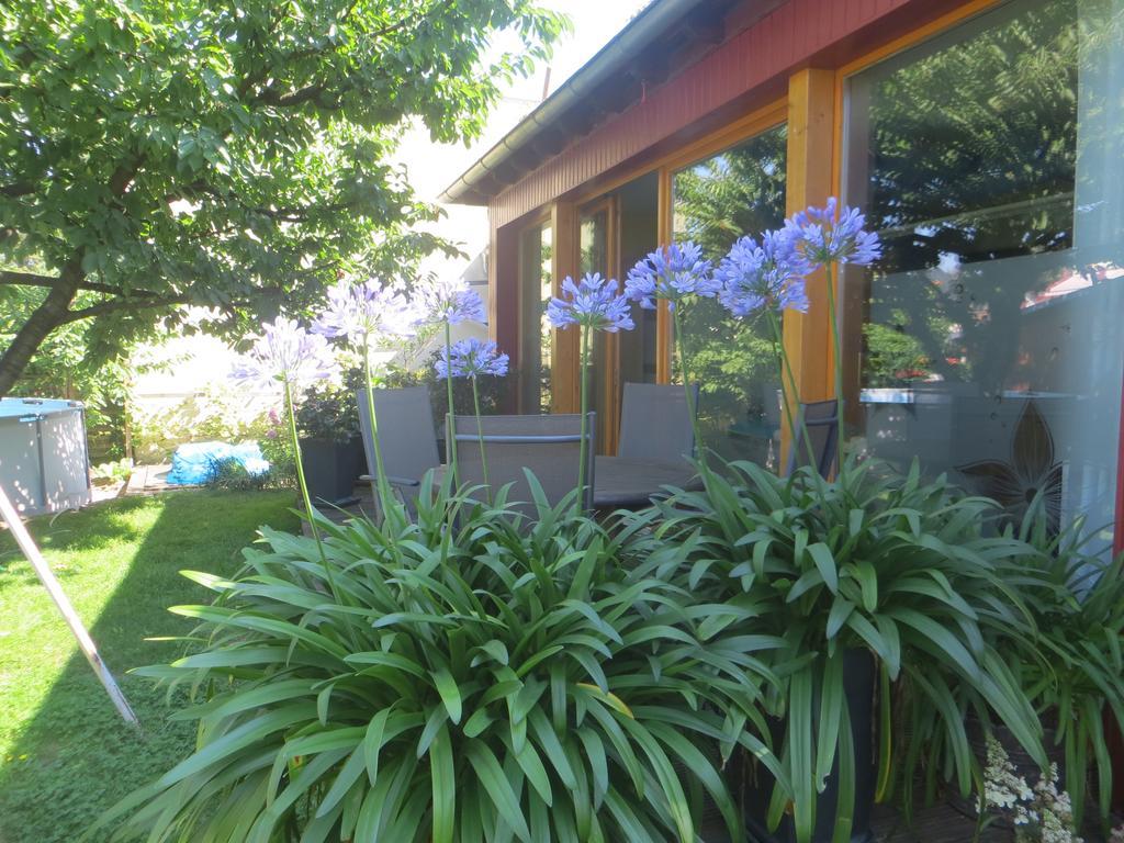 Gartenhaus Klotzsche Dresde Extérieur photo